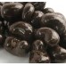 Dark Chocolate Cashews-1lb